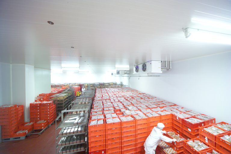 hygiene voor de voedingsindustrie