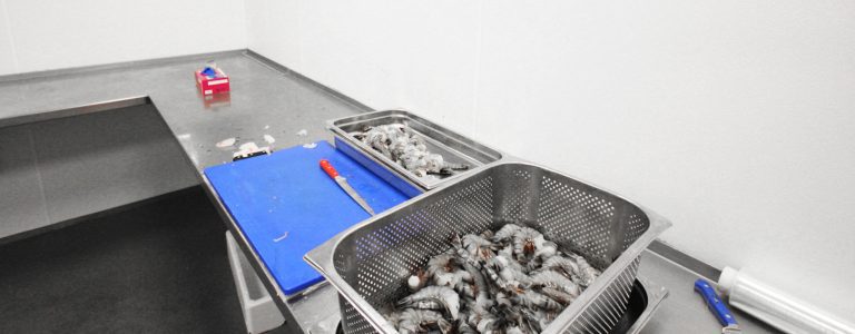 HACCP wand- en plafondsysteem visserij branche