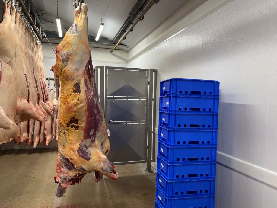 hygienische wanden en plafonds voor een slachthuis